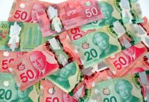 Canadian bills of 20 dollars and 50 dollars