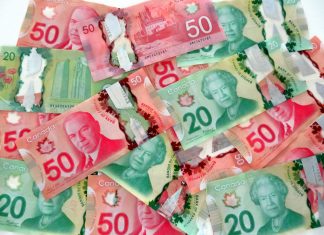 Canadian bills of 20 dollars and 50 dollars