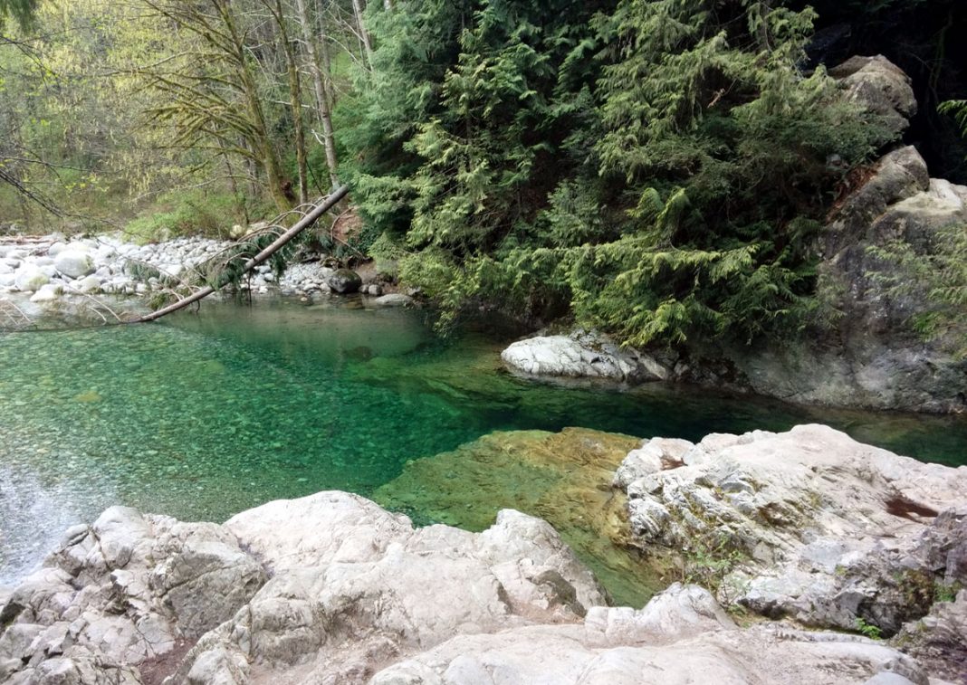 The river has a sluggish spot where people like to swim. Photo by ©Pacific Walkers